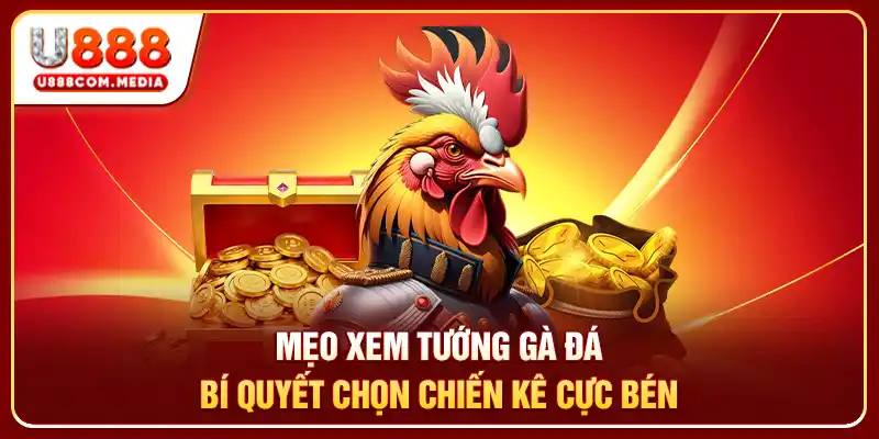 Mẹo Xem Tướng Gà Đá - Bí Quyết Chọn Chiến Kê Cực Bén - PLAYLUMA88