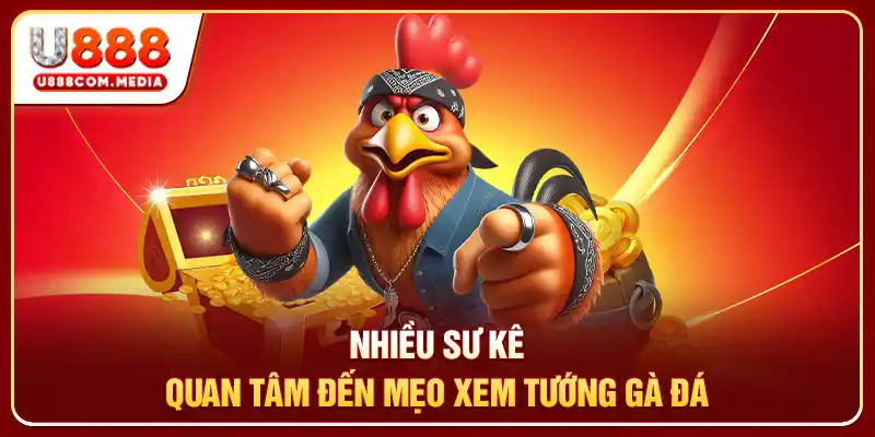 Mẹo Xem Tướng Gà Đá - Bí Quyết Chọn Chiến Kê Cực Bén - PLAYLUMA88