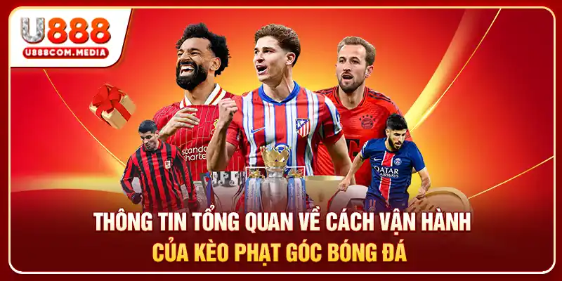 Bật Mí 4 Mẹo Chơi Kèo Phạt Góc Giúp Tăng Cơ Hội Chiến Thắng - PLAYLUMA88